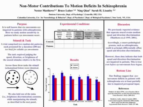 ECVP 2002 poster