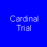 Animated Icon Submitted to the Journal of Vision